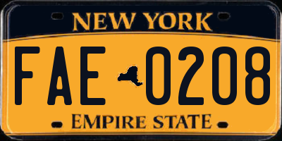 NY license plate FAE0208