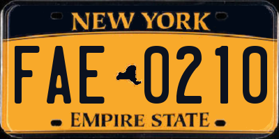 NY license plate FAE0210