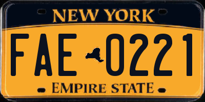 NY license plate FAE0221