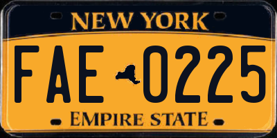 NY license plate FAE0225