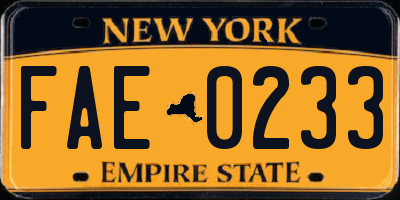 NY license plate FAE0233