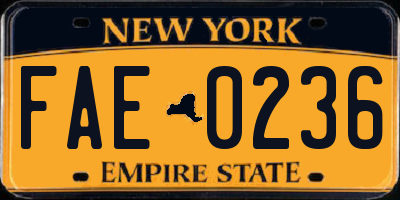 NY license plate FAE0236