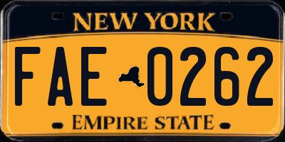 NY license plate FAE0262