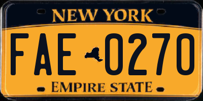 NY license plate FAE0270