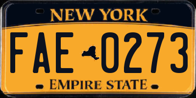 NY license plate FAE0273