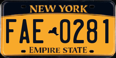 NY license plate FAE0281