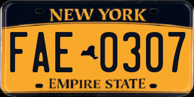 NY license plate FAE0307