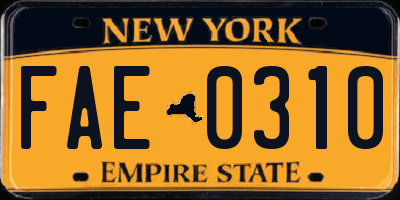 NY license plate FAE0310