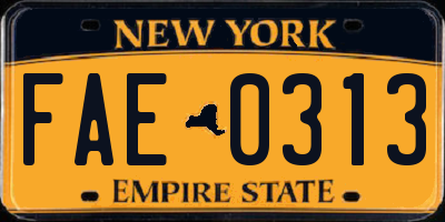 NY license plate FAE0313