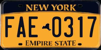 NY license plate FAE0317