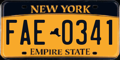 NY license plate FAE0341