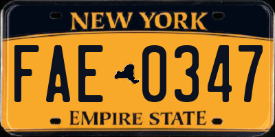 NY license plate FAE0347