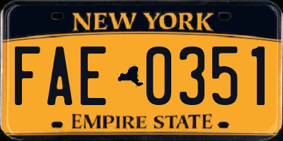 NY license plate FAE0351