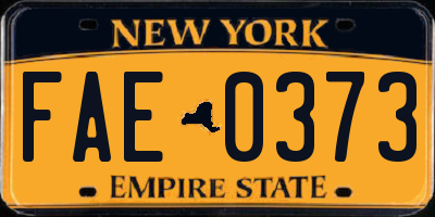 NY license plate FAE0373