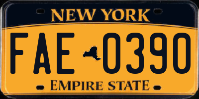 NY license plate FAE0390