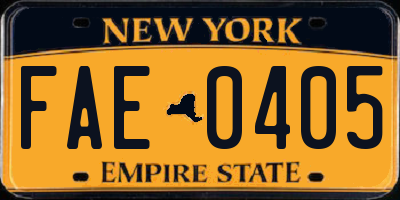 NY license plate FAE0405