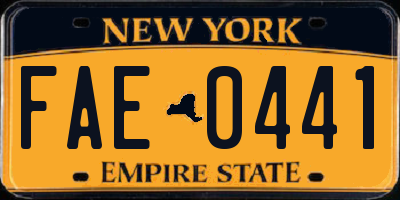 NY license plate FAE0441