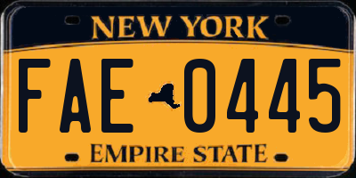 NY license plate FAE0445