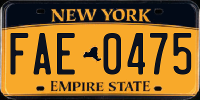 NY license plate FAE0475