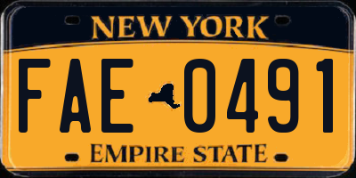 NY license plate FAE0491