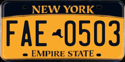 NY license plate FAE0503