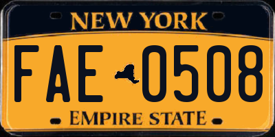 NY license plate FAE0508