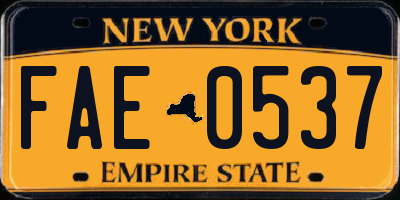 NY license plate FAE0537