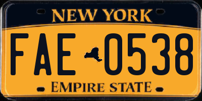 NY license plate FAE0538