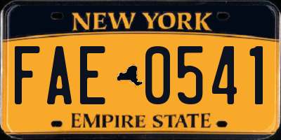 NY license plate FAE0541