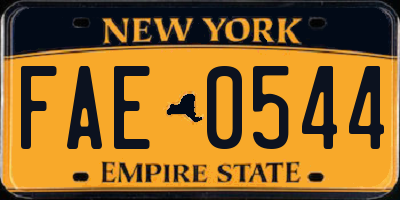 NY license plate FAE0544