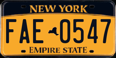 NY license plate FAE0547