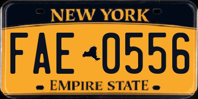 NY license plate FAE0556