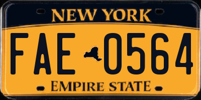 NY license plate FAE0564