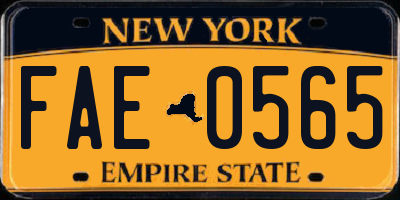 NY license plate FAE0565