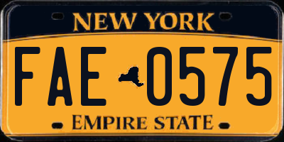 NY license plate FAE0575