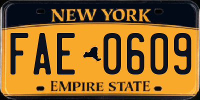 NY license plate FAE0609