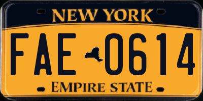 NY license plate FAE0614