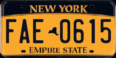 NY license plate FAE0615
