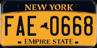 NY license plate FAE0668