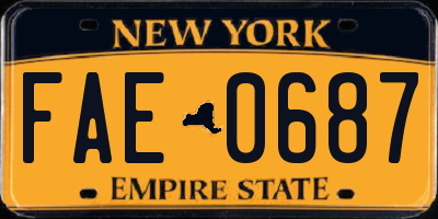 NY license plate FAE0687