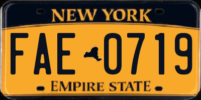 NY license plate FAE0719