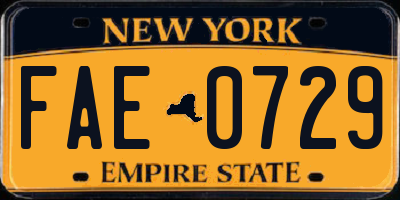 NY license plate FAE0729