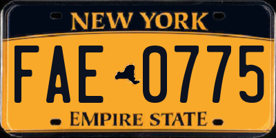NY license plate FAE0775