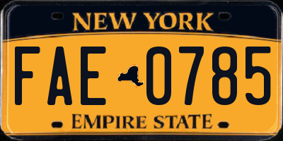 NY license plate FAE0785