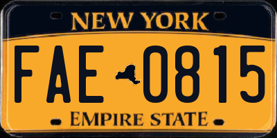 NY license plate FAE0815