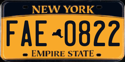 NY license plate FAE0822