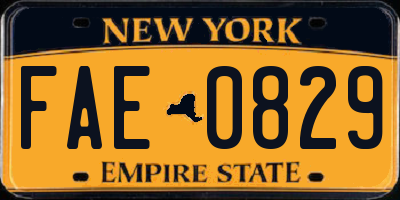 NY license plate FAE0829