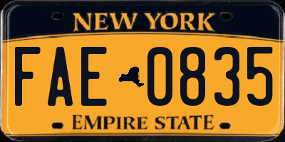 NY license plate FAE0835