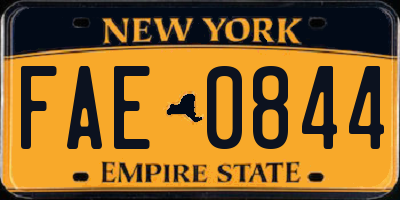 NY license plate FAE0844