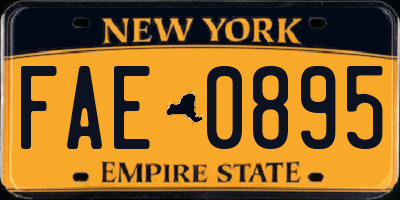 NY license plate FAE0895